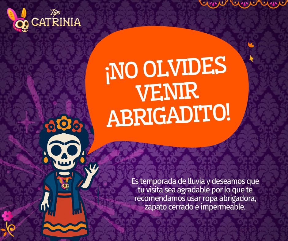 contenido catrinia (1)